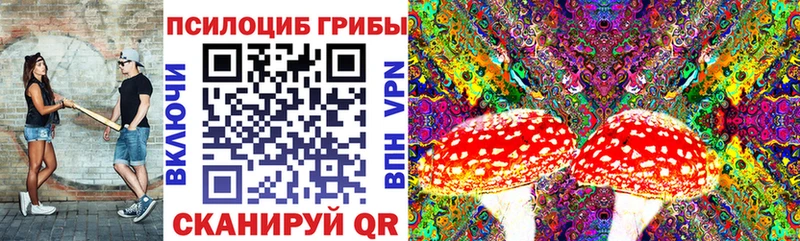 Галлюциногенные грибы Psilocybe  Агидель 